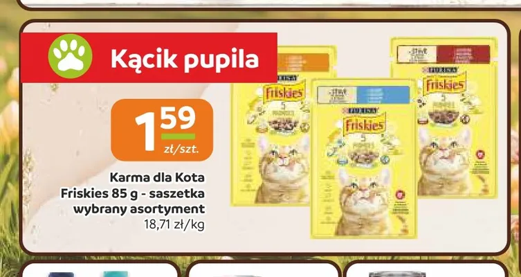 Karma dla kota Friskies promocja w Gama
