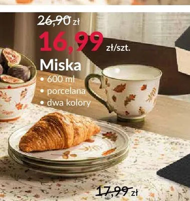 Miska 600 ml promocja w Salony Agata