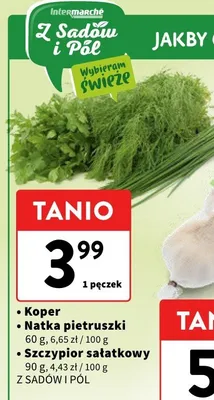 Natka pietruszki Z SADÓW I PÓL promocja w Intermarche