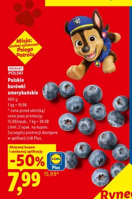 Polskie borówki amerykańskie promocja w Lidl