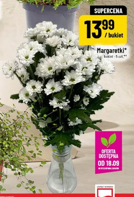 Margaretki bukiet 5 szt. promocja w POLOmarket