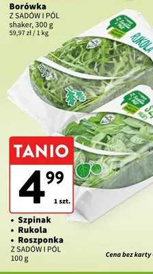 Rukola Z Sadów i Pól promocja w Intermarche
