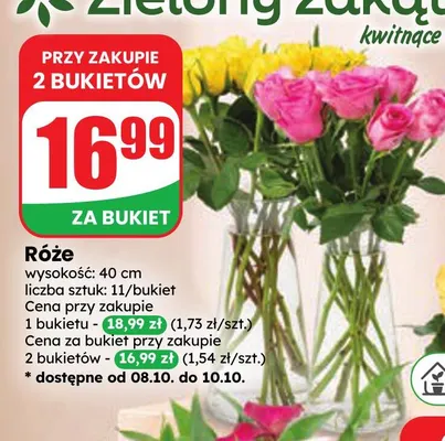 Róże promocja w Dino