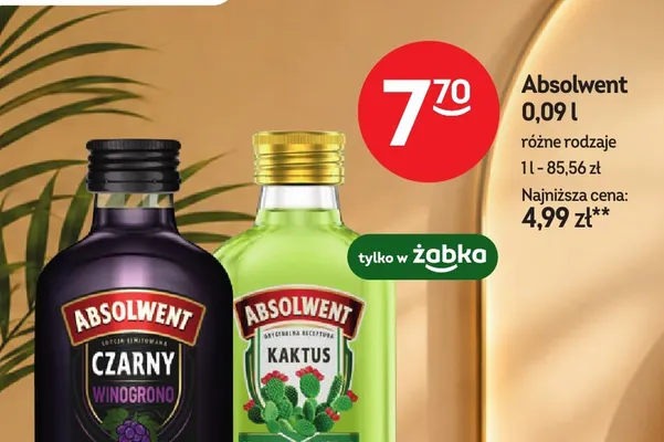 Absolwent kaktus promocja w Żabka