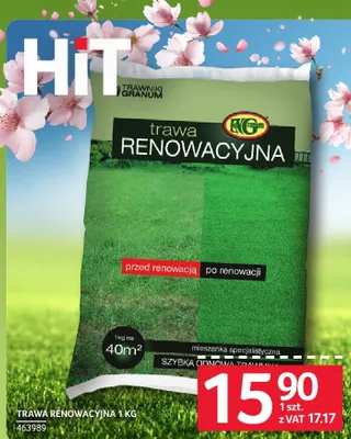 Trawa renowacyjna 1 kg promocja w Selgros