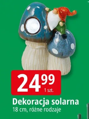 Dekoracja solarna promocja w Leclerc