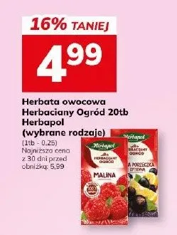 Herbata owocowa Ogród 20tb (wybrane rodzaje) promocja w Hitpol