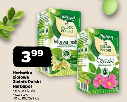 Herbatka ziołowa Zielnik Polski (morwa biała, czystek) promocja w Netto