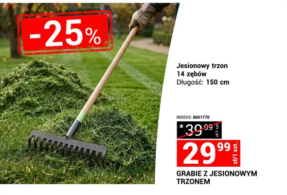 Grabie z jesionowym trzonem 14 zębów promocja w Merkury Market