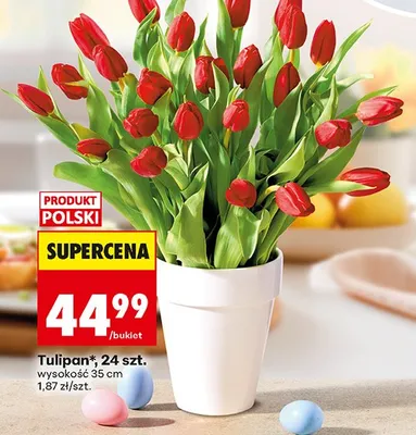 Tulipan 24 szt. wysokość 35 cm promocja w Biedronka