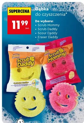 Gąbka do czyszczenia, różne rodzaje promocja w Biedronka