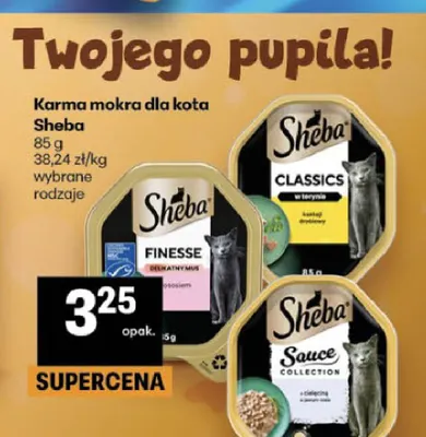Karma mokra dla kota Sheba promocja w Delikatesy Centrum