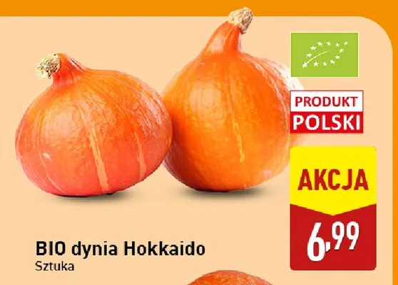 Dynia Hokkaido promocja w Aldi