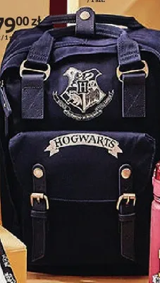 Plecak Harry Potter Hogwarts granatowy promocja w Empik