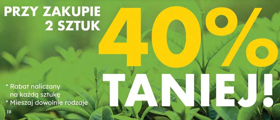 Gazetka 10 / 2026, strona 17 promocja w Dino