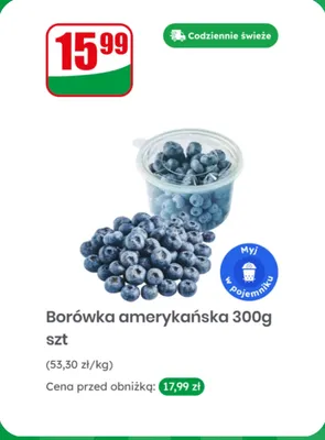 Borówka amerykańska 300 g promocja w Dino