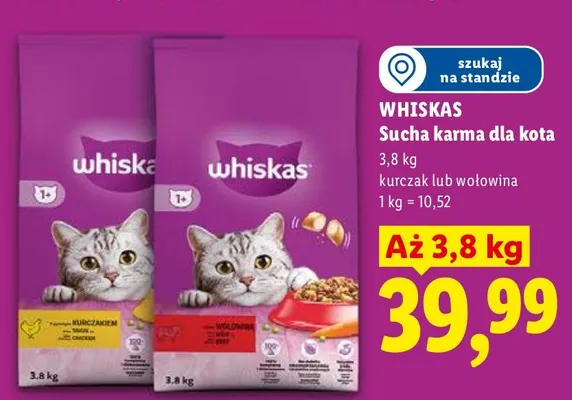 Sucha karma dla kota wołowina promocja w Lidl