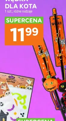 Wędka dla kota promocja w Stokrotka