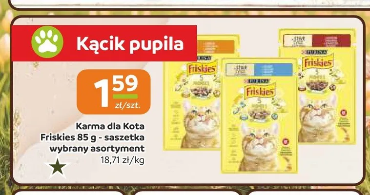 Karma dla kota Friskies promocja w Społem Częstochowa