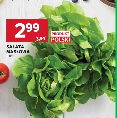 Sałata masłowa polska promocja w Stokrotka