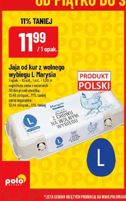 Jaja od kur z wolnego wybiegu L Marysia promocja w POLOmarket