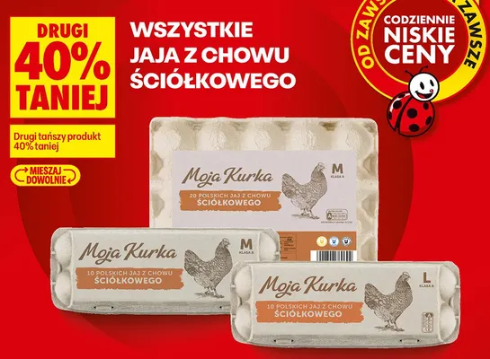 Jaja z chowu ściółkowego Moja Kurka klasa L 10-pak promocja w Biedronka