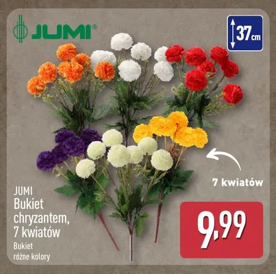 Bukiet chryzantem 7 kwiatów Jumi promocja w Aldi