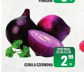 Cebula czerwona promocja w Tomi Markt
