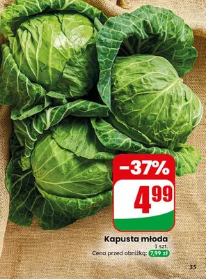 Kapusta młoda Dino promocja w Dino