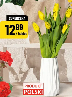 Tulipany promocja w POLOmarket