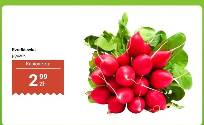 Rzodkiewka pęczek promocja w Dino