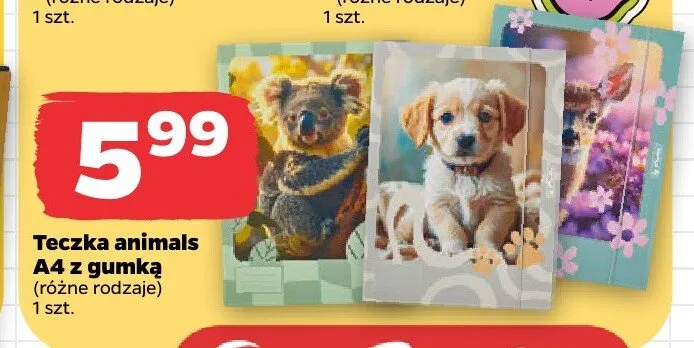Teczka animals A4 z gumką Herlitz promocja w Netto