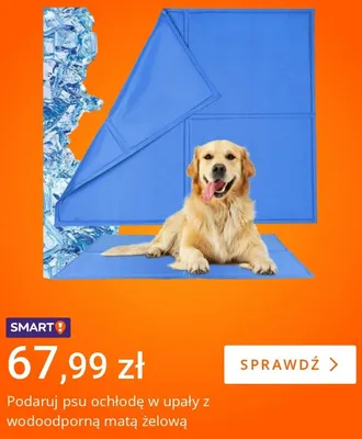 Wodoodporna mata żelowa dla psa promocja w Allegro