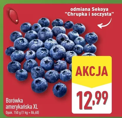 Borówka amerykańska XL odmiana Sekoya Chrupka i soczysta promocja w Aldi