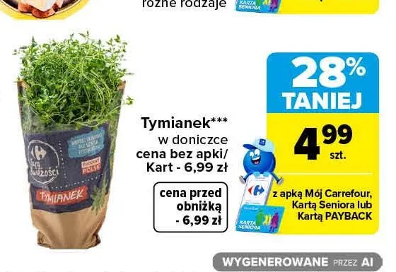 Tymianek w doniczce promocja w Carrefour