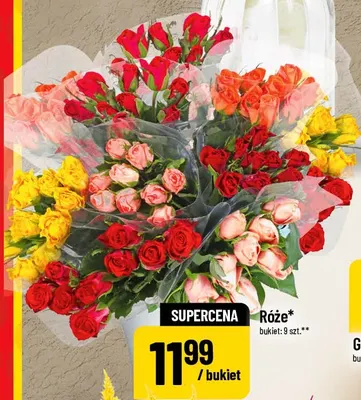 Róże promocja w POLOmarket