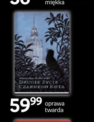 Książka Drugie życie czarnego kota promocja w Empik