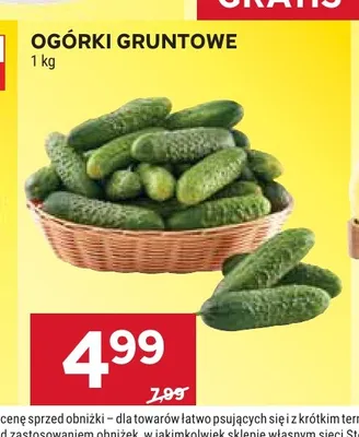 Ogórki gruntowe promocja w Stokrotka