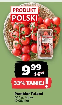 Pomidor Tatami polski promocja w Netto