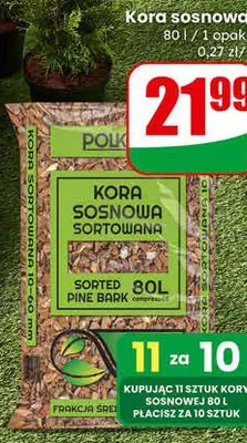 Kora sosnowa promocja w Dino