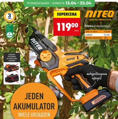 Pilarka akumulatorowa Niteo promocja w Biedronka