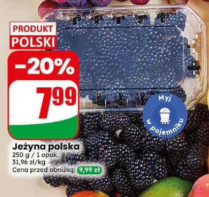 Jeżyna polska promocja w Dino