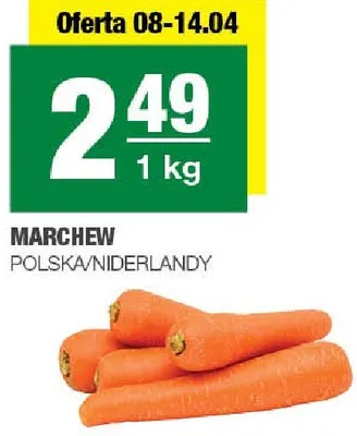 Marchew promocja w SPAR