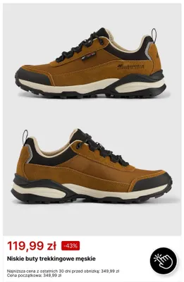 Niskie buty trekkingowe męskie 4F Ashrise 1,0 promocja w 4F