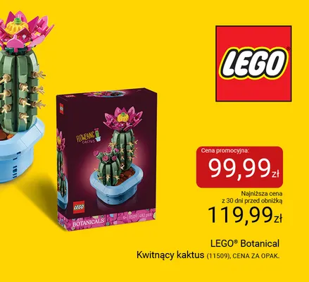 Klocki LEGO Botanical Kwitnący kaktus 11509 promocja w Smyk