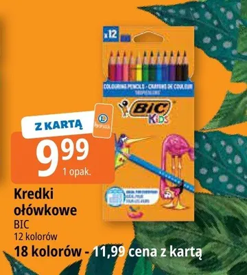 Kredki ołówkowe BIC Kids 12 kolorów promocja w Leclerc