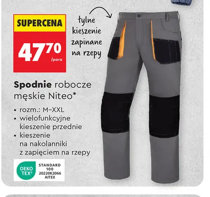 Spodnie robocze męskie Niteo promocja w Biedronka