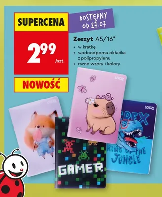 Zeszyt A5 LOOZZ 16 kartek promocja w Biedronka