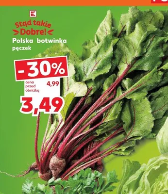 Botwinka polska promocja w Kaufland