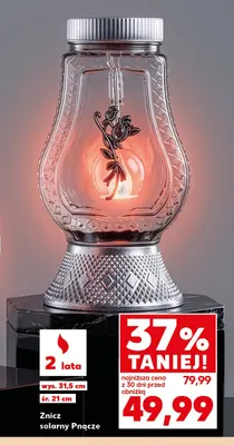 Znicz solarny Pnącze promocja w Kaufland